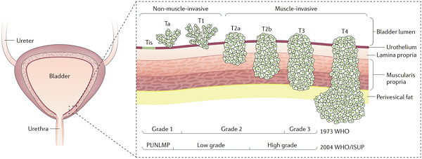 20210601092523000298/resource/images/2fea72d5ec3141a1a89c01c0cdaf0340_2.png