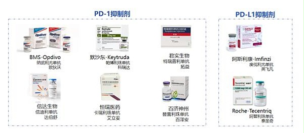国内已上市PD-1PD-L1抗体药物