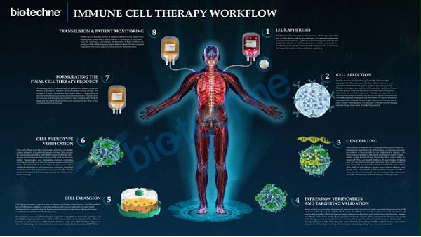 细胞免疫治疗流程