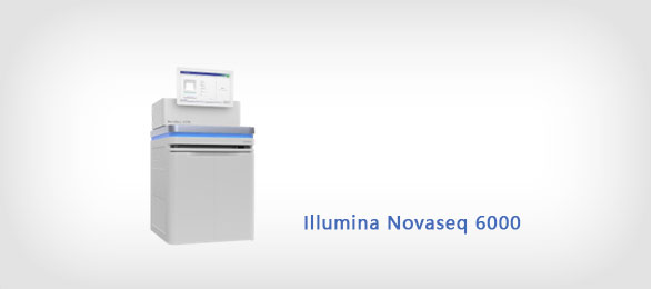 Illumina-Novaseq-6000
