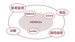 多维互补！HEMECDx助力血液肿瘤RNA融合基因检测